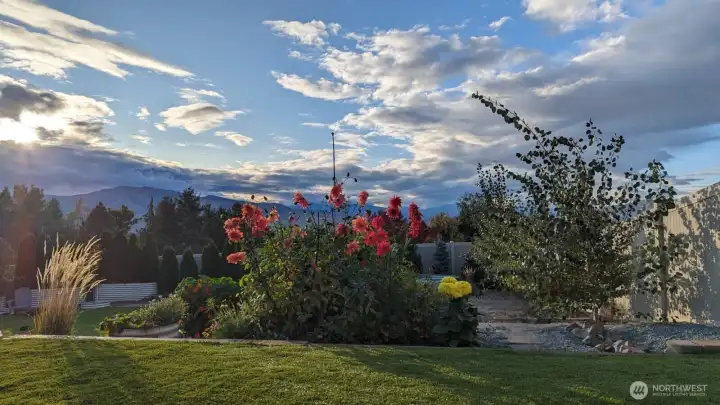 Seasonal Garden Beds - with sprinklers