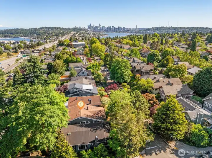 Aerial photo looking south. Sought after Wallingford neighborhood. 82 walk score & 86 bike score. You can see Lake Union and downtown Seattle from this photo.
