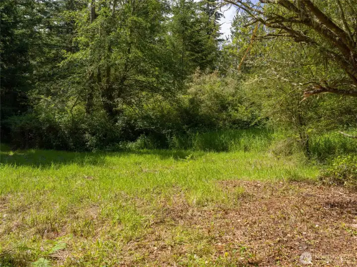 Meadow at entrance of propety