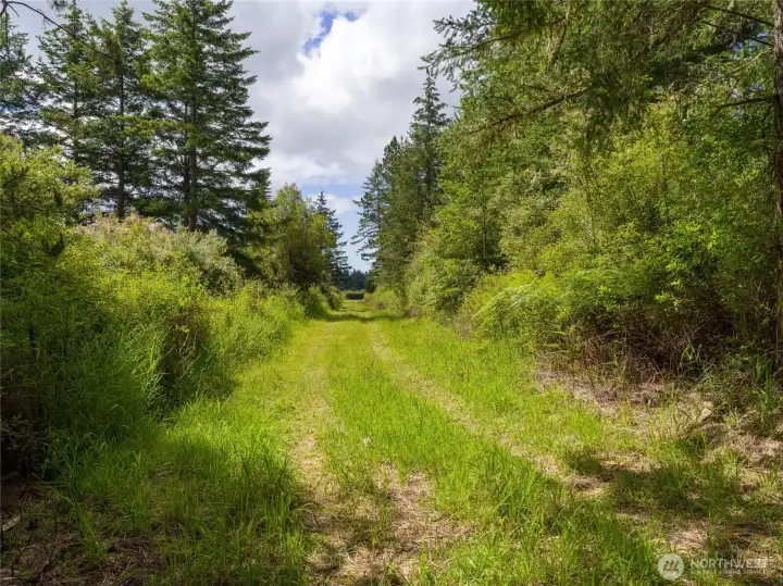 Driveway entering property