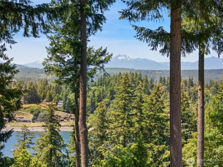 A view from the deck.
