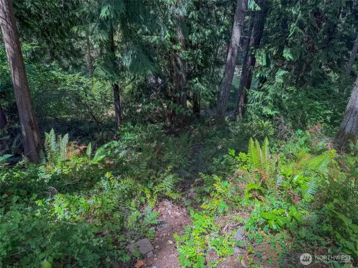 Pathway that leads directly to Clear Lake from the back of the property Pathway that leads directly to Clear Lake from the back of the property