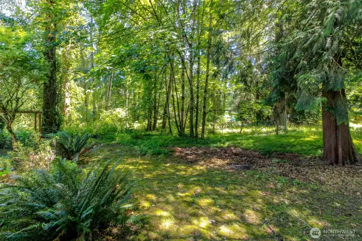Let's adventure into the woods! ALL 4.77 acres ;) Let's adventure into the woods! ALL 4.77 acres ;)