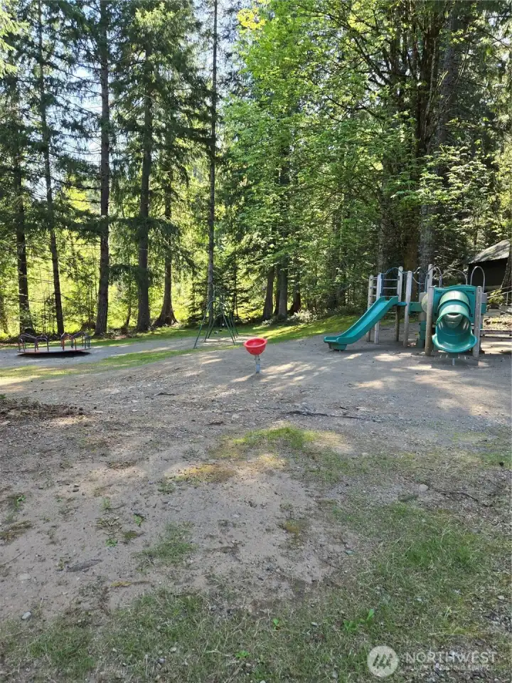 Lake Cushman Division 3 park