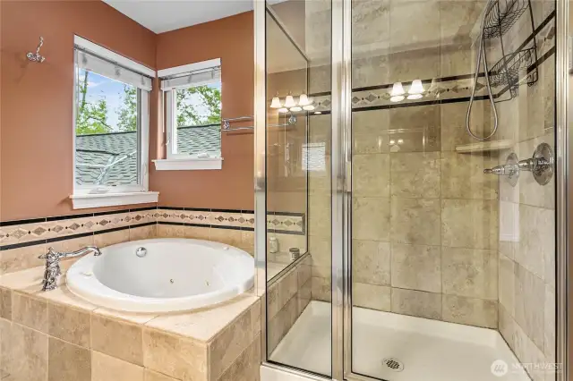 Jetted soaker tub and step-in shower. Take your pick.