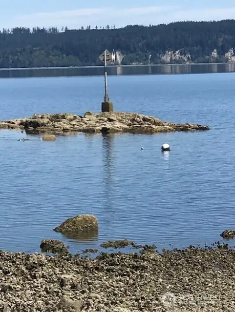 Seal Rock at low tide