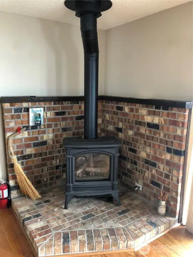 Propane fireplace for added heat