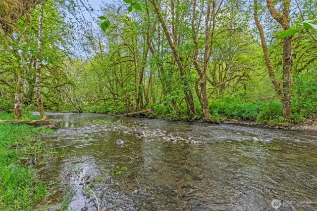 Germany Creek... YOU could LIVE here!