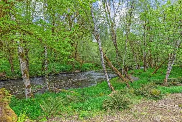 Germany Creek Runs all year.. The soothing sounds of the creek will lull you to sleep.. I see a perfect place for a Hammock.. relax and enjoy all the beauty around you!