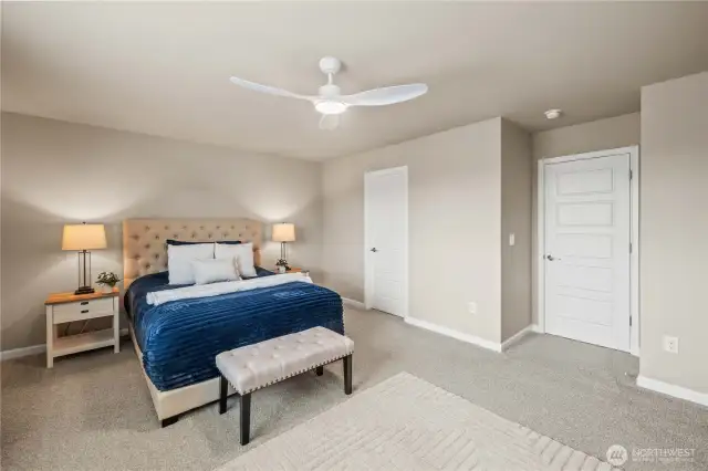 Ceiling Fan