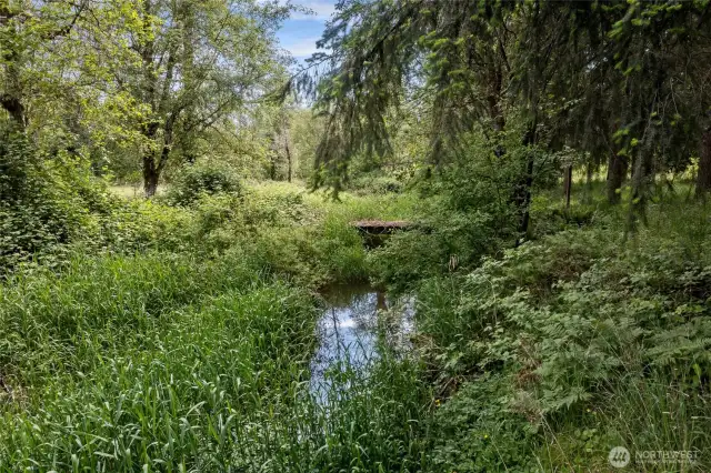 Lacamas Creek runs right through your pastures! Complete with a salmon run!