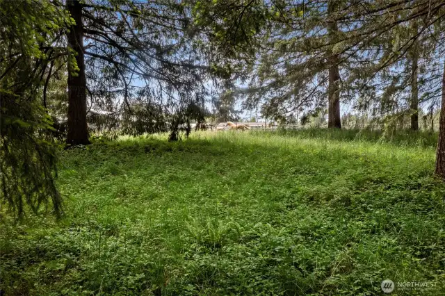 Property on the other side of the creek has quite the stunning view.