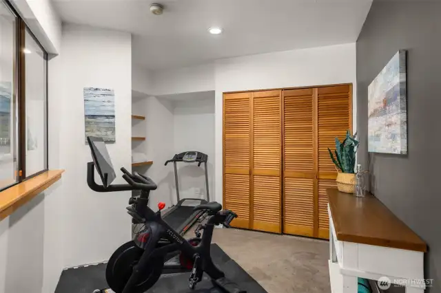 This flex room can be found on the lower-level and is currently being used as a gym!