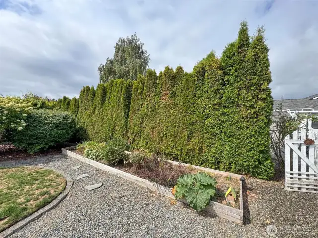 Low Maintenance yard