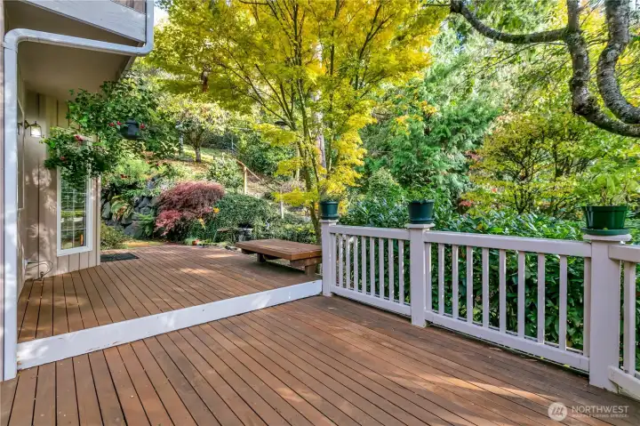 Deck surrounded by trees.