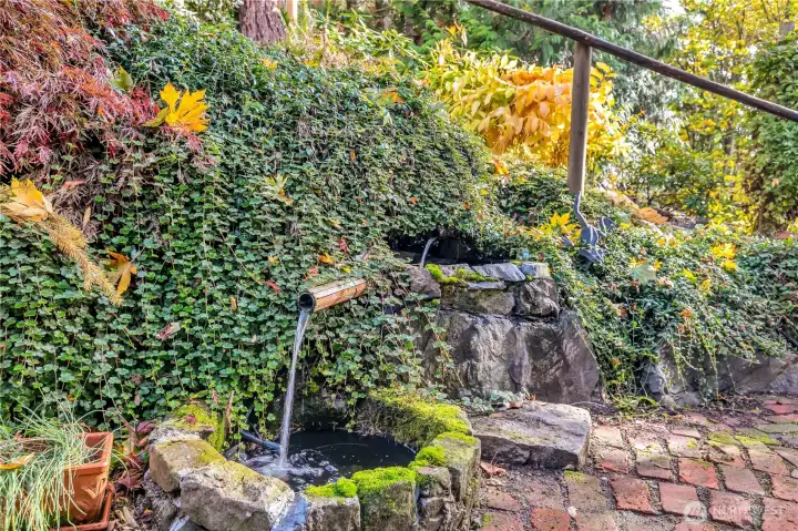Back yard attraction: water fountain.