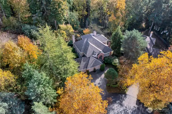 Aerial view of the home.