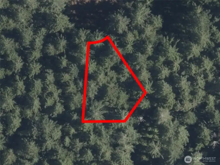 Overhead view with approximate boundaries in red.