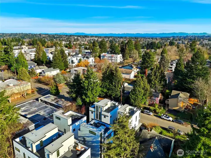 Aerial view showcasing the surrounding neighborhood, tree-lined streets, and nearby residential development.