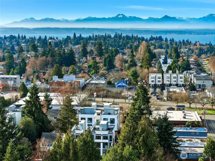Aerial view showcasing the surrounding neighborhood, tree-lined streets, and nearby residential development.