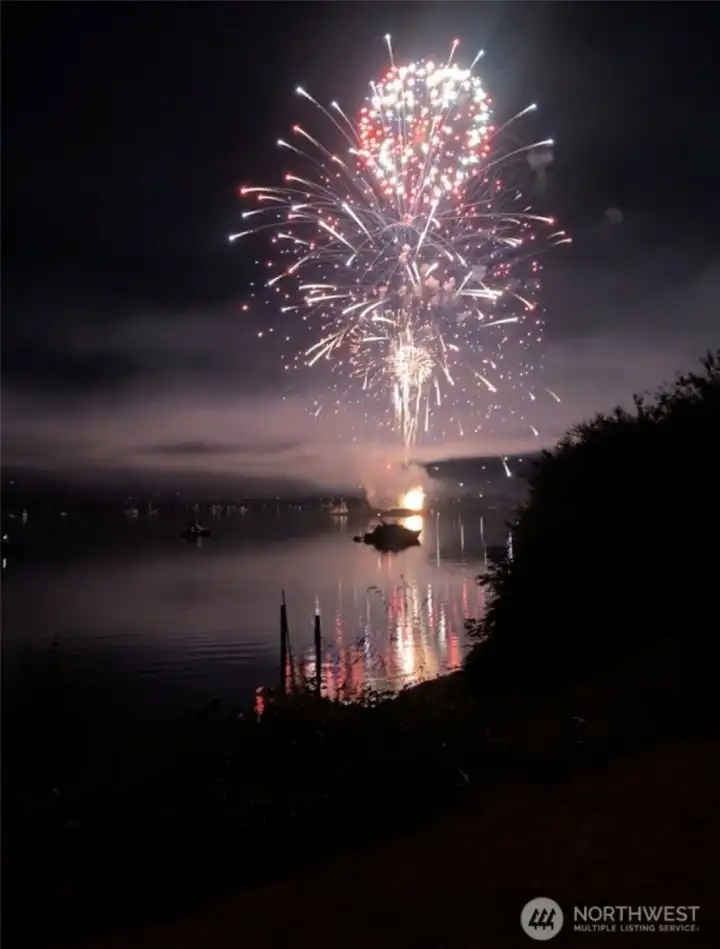 Fourth of July fireworks from the yard! Fourth of July fireworks from the yard!