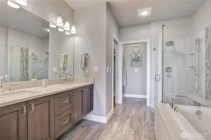 Spa like Primary bath