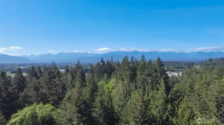 The mountain views can be expanded with some tree trimming
