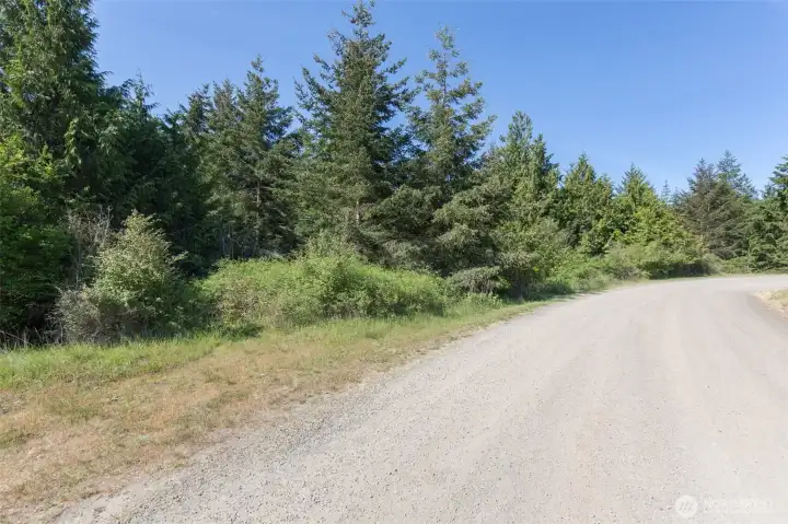 Wooded wonderland south of Quiet Waters Lane