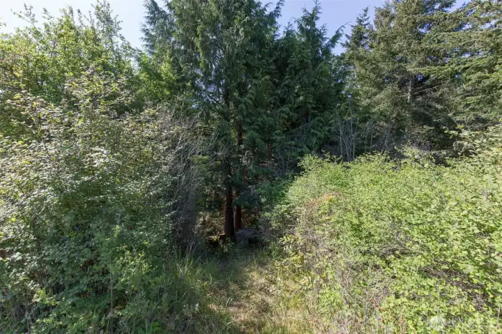 Nature Trail entrance, walk to Matriotti Creek