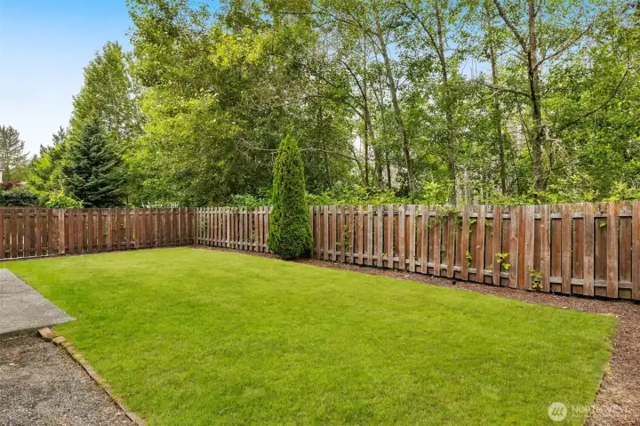 Fully fenced backyard, ready for summer BBQs. Fully fenced backyard, ready for summer BBQs.