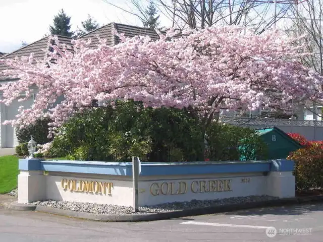 Springtime bursts into bloom all over GOLD CREEK!