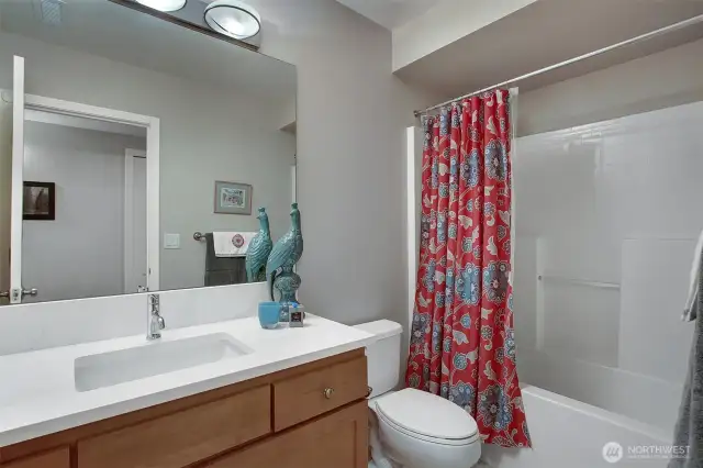 Downstairs Hall Bathroom