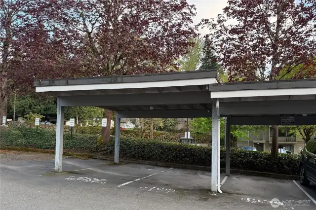 Covered Carport Designated Parking Spot C137