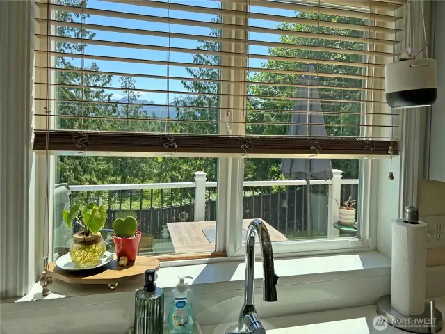 Kitchen Window