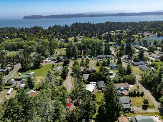 Note red arrow showing property and how close Willapa Bay is.
