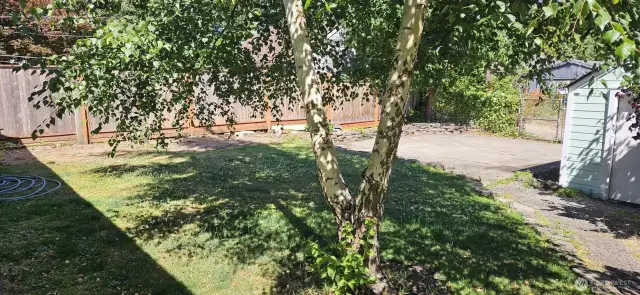Fenced back yard with 2 car off street parking