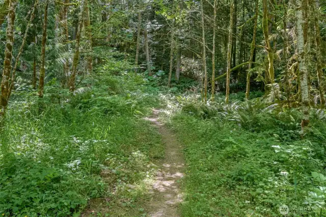 Stimson Reserve Trail Head - private access