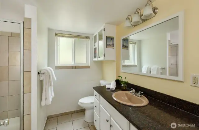 Lower level Bathroom with Shower