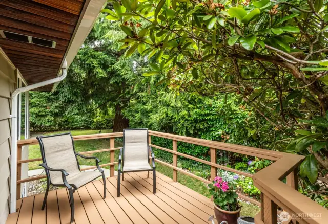 Side Deck from Dining area + Kitchen.