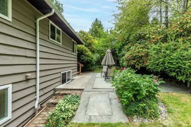 Backyard facing North