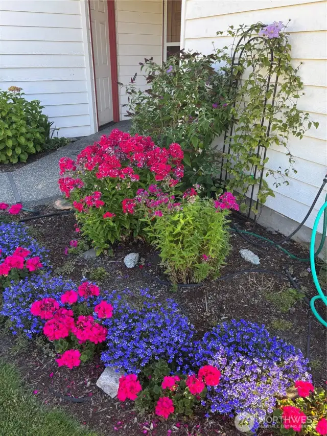 Flower bed by entry