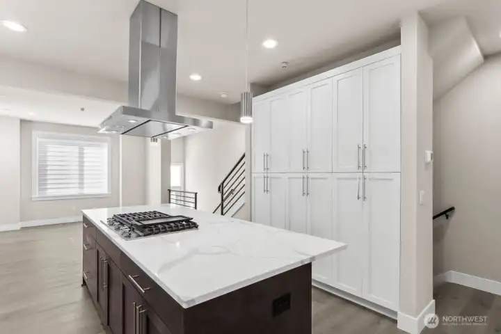 Look at that pantry cabinet space!