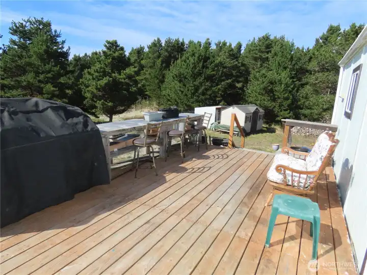 Back deck
