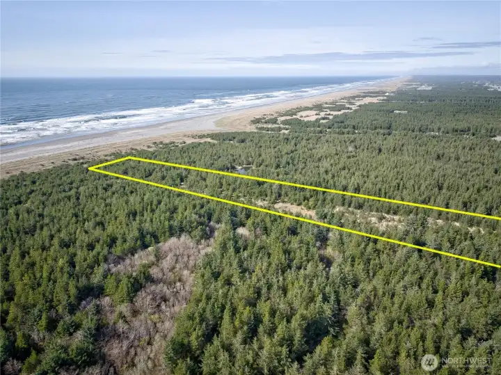 Approximate area outlined.