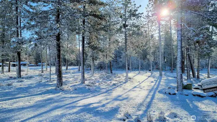 355 Tamarack Goldendale, WA