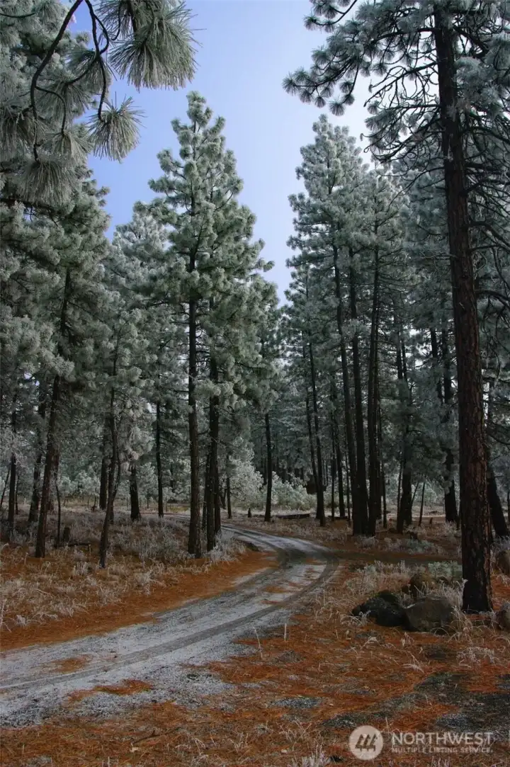 355 Tamarack Goldendale, WA