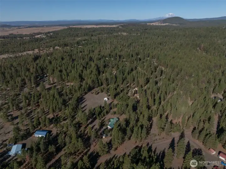 355 Tamarack Goldendale, WA