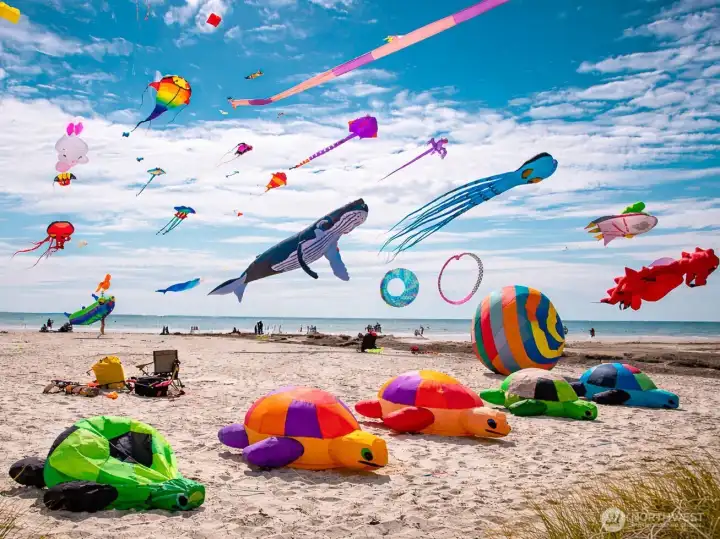 Long Beach is known for its annual, world renowned Kite Festival.