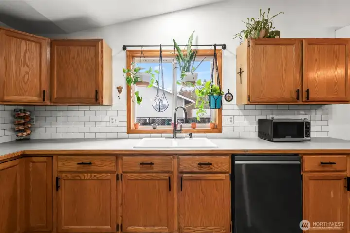 The new backsplash and cabinet hardware liven up the kitchen, and the window offers natural light that plants and people love.