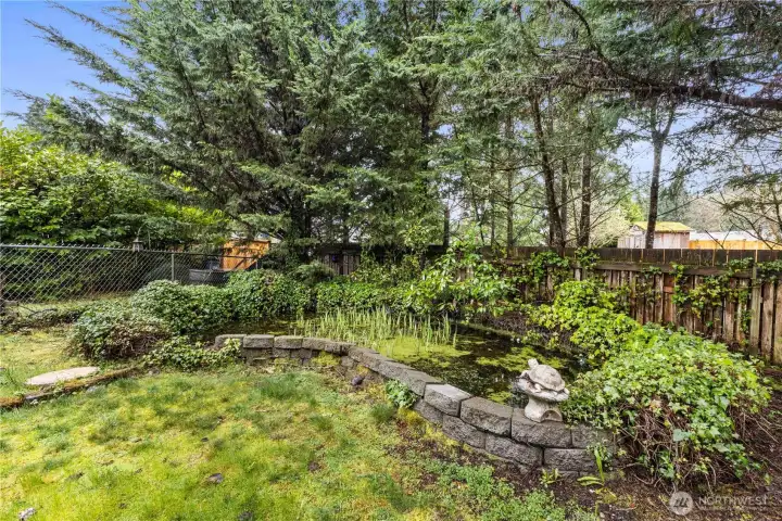 Cute fish pond in the back corner.